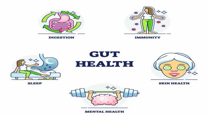 Surprising Causes of Poor Gut Health 