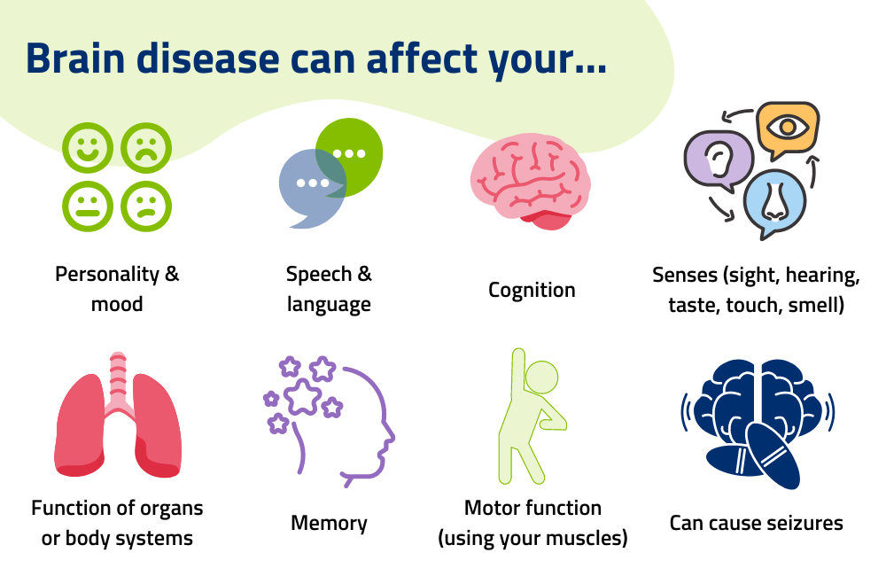 Risks of an Unhealthy Brain