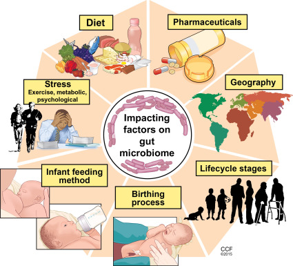 Factors Impacting the Gut Microbiome