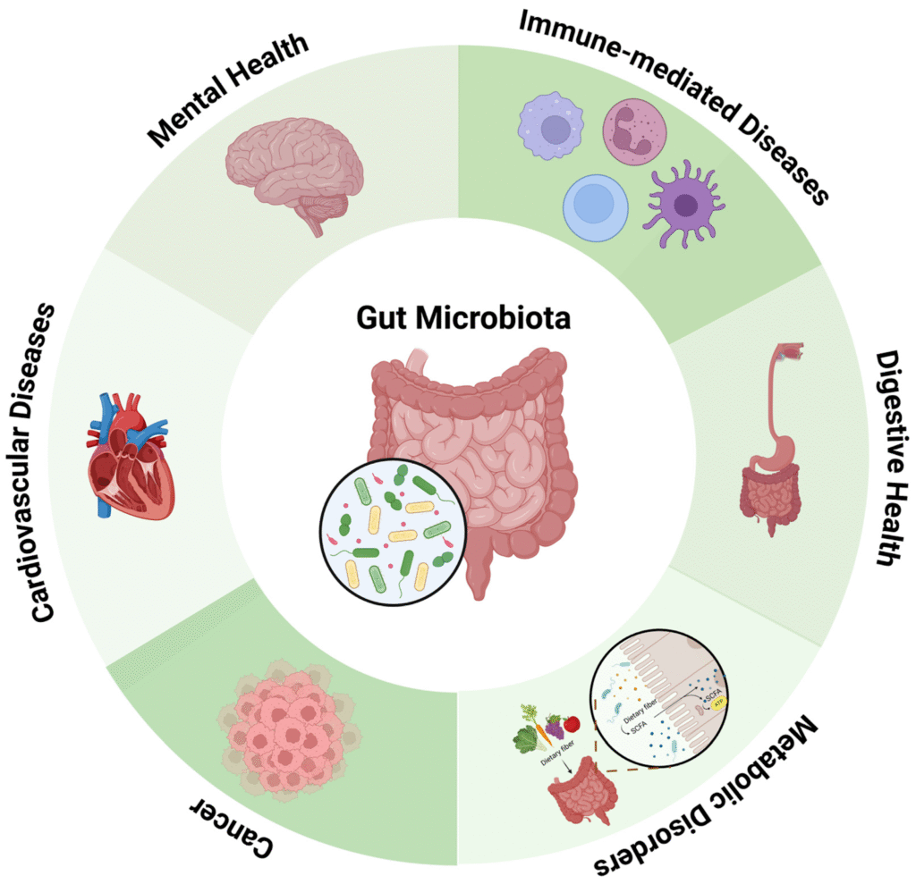 Gut Microbiome