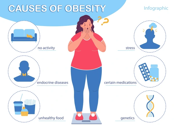 Causes Of Fat Gain