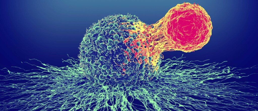 Boost Your Immune System