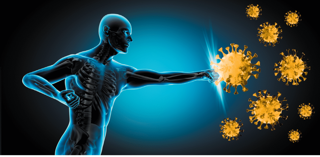 immune system