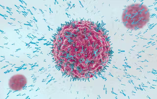 Immune System Fight Viruses