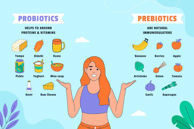 Probiotics and Prebiotics: What Are They and Why Are They Important?