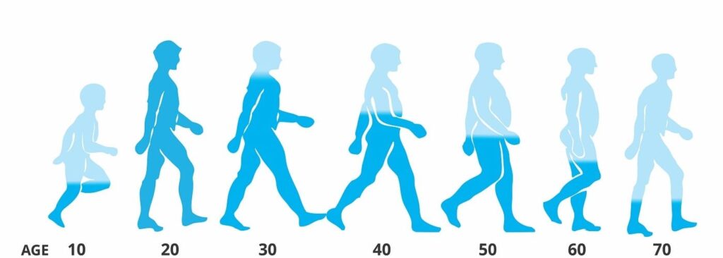 Normal Testosterone Ranges by Sex and Age