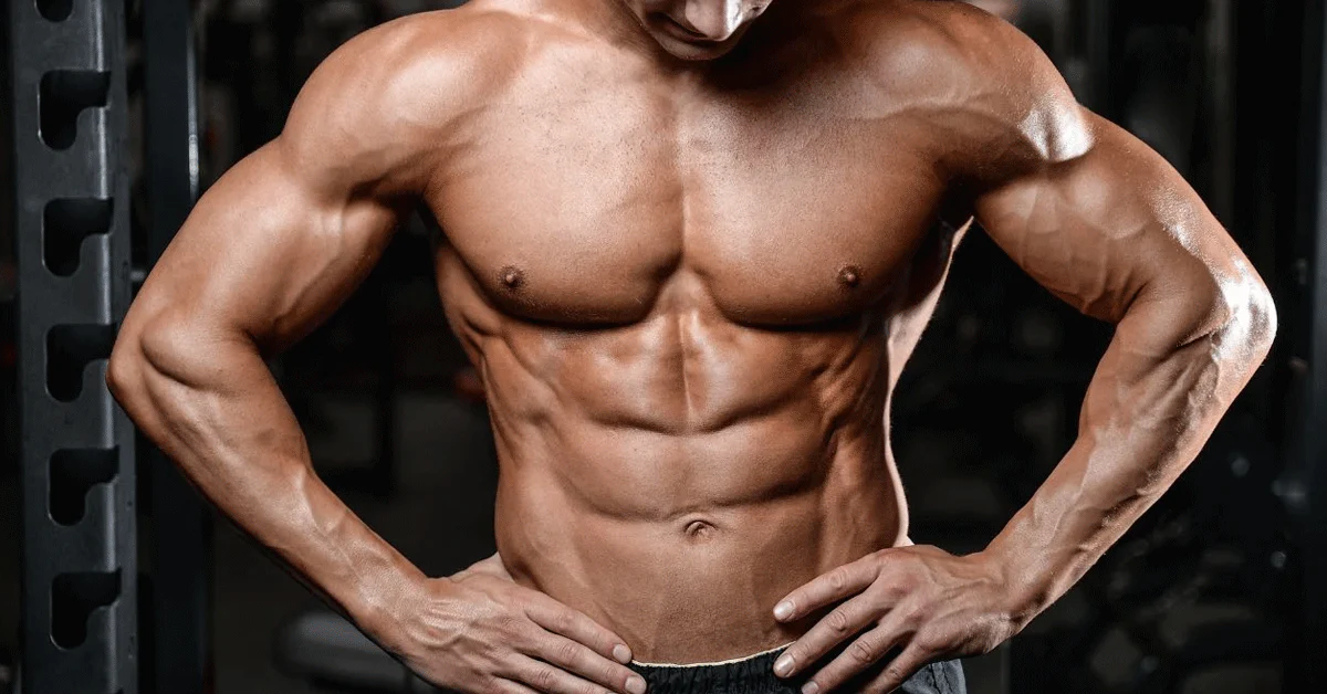 How to Gain Muscle