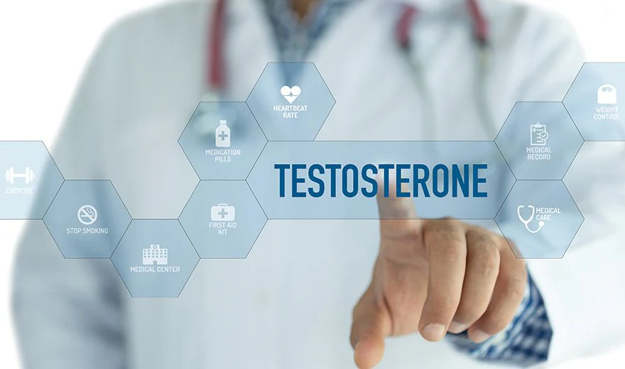 Increase Testosterone Review