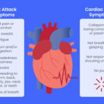Heart Attack vs Cardiac Arrest