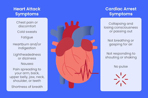 Heart Attack vs Cardiac Arrest