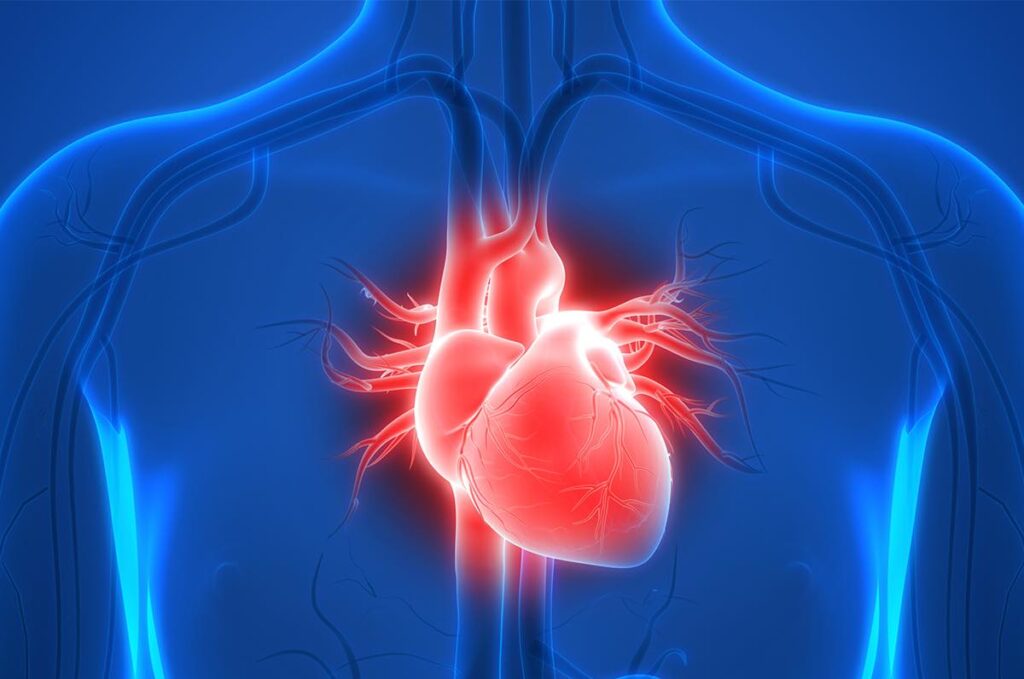 heart health