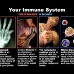 Immune System Conditions