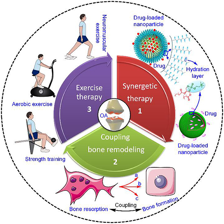Treatment Strategies for Arthritis