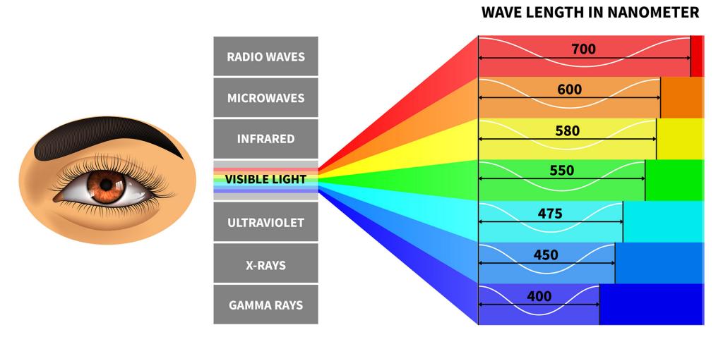 Blue Light: Risks, Reality, and Protective Measures