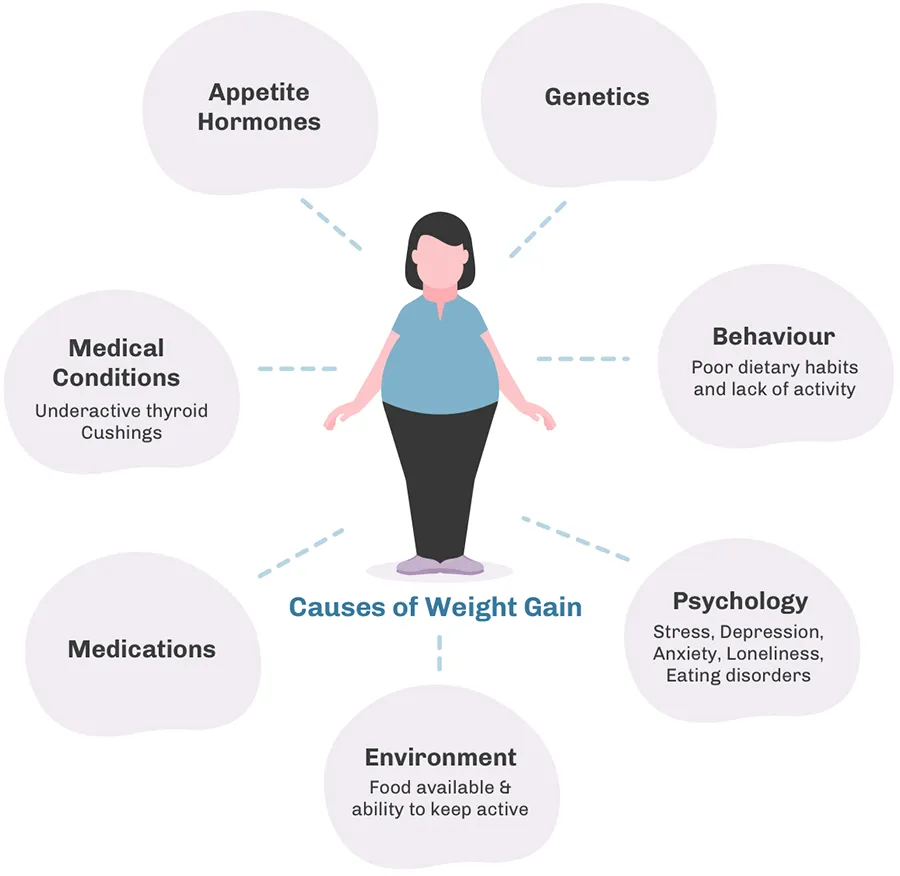 Excessive Weight Gain