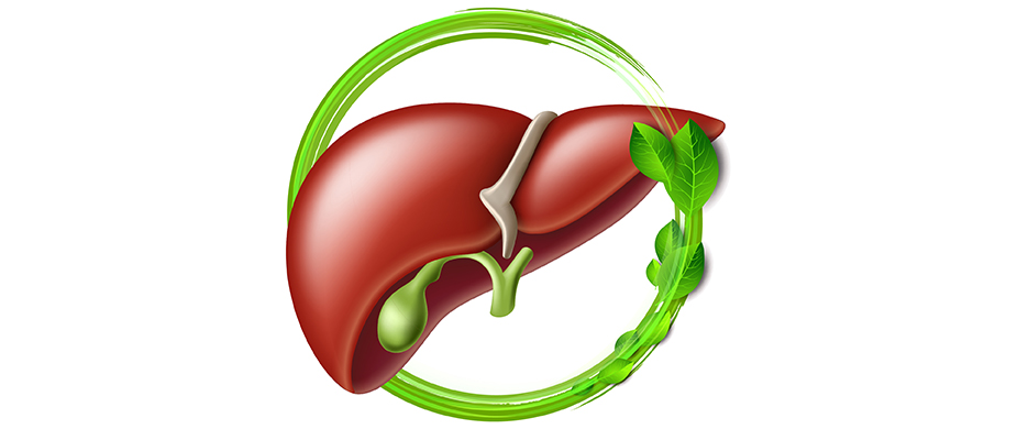 liver health