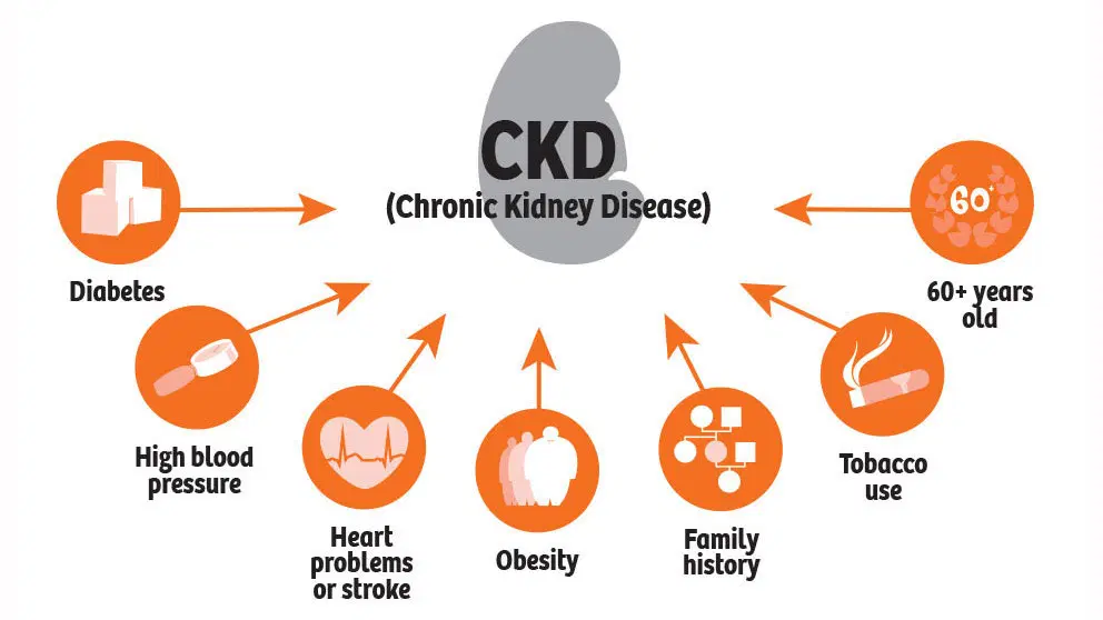 Major Risk Factors for Poor Kidney Health