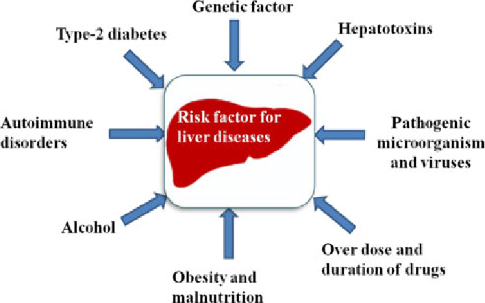 Risk Factors That Make Liver Damage Worse