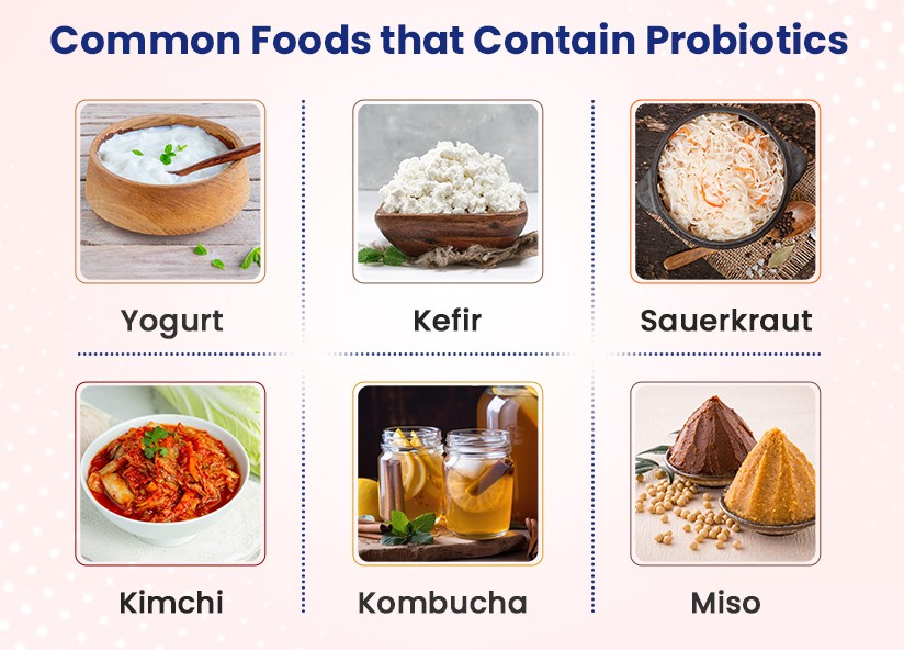 Common Sources of Probiotics