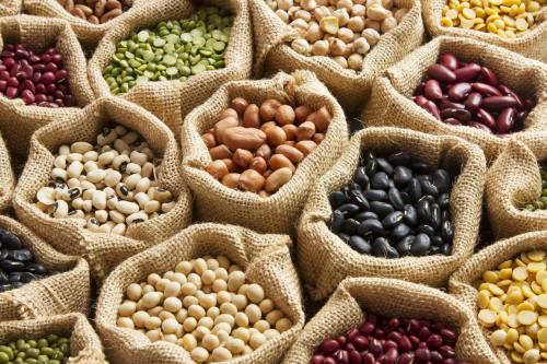 Beans and Legumes